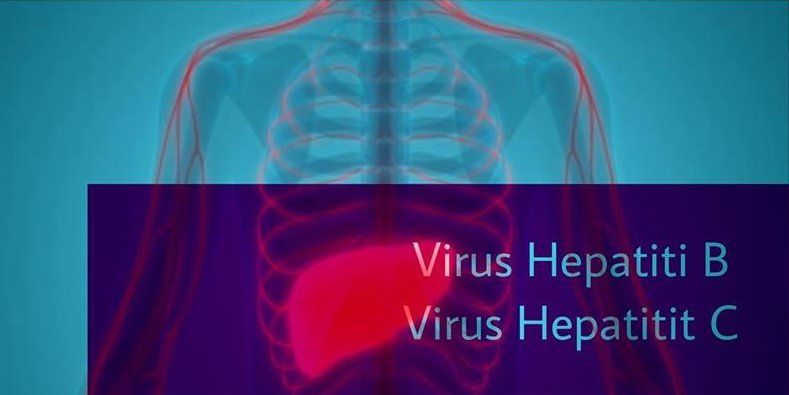 Hepatit virusları