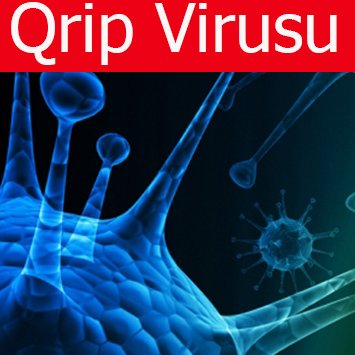 Virus